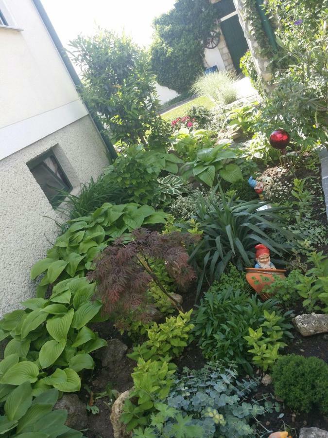 Weingut Apartment Hildegard Gangl Illmitz Zewnętrze zdjęcie