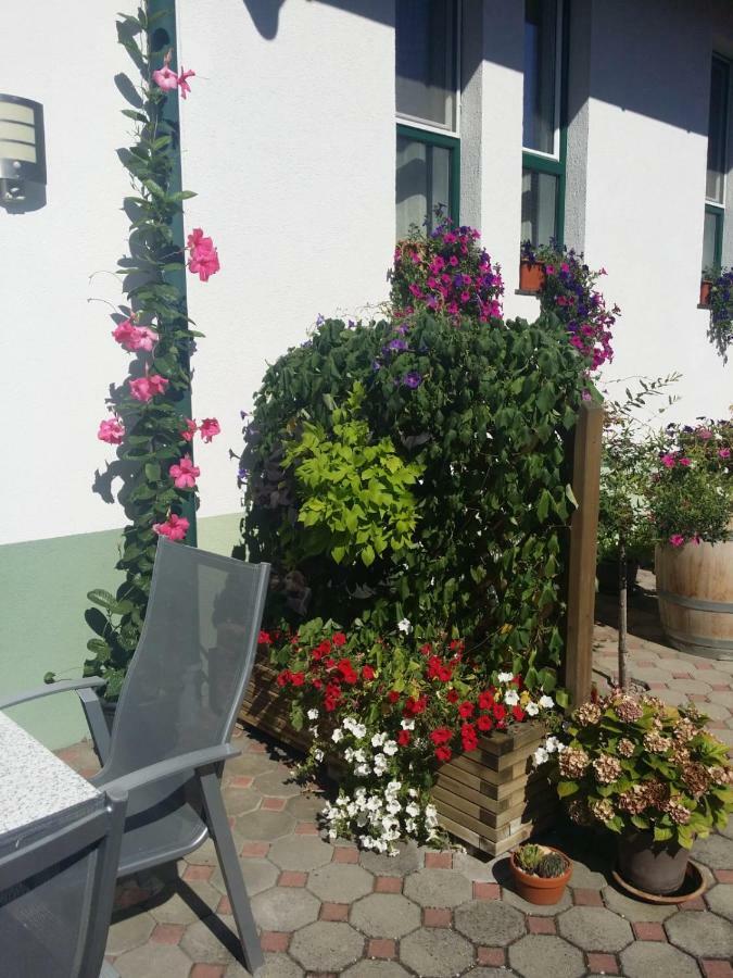 Weingut Apartment Hildegard Gangl Illmitz Zewnętrze zdjęcie